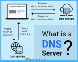 DNS port